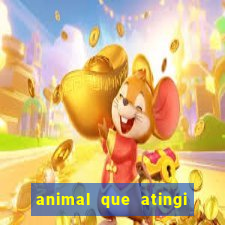 animal que atingi 230 decibeis